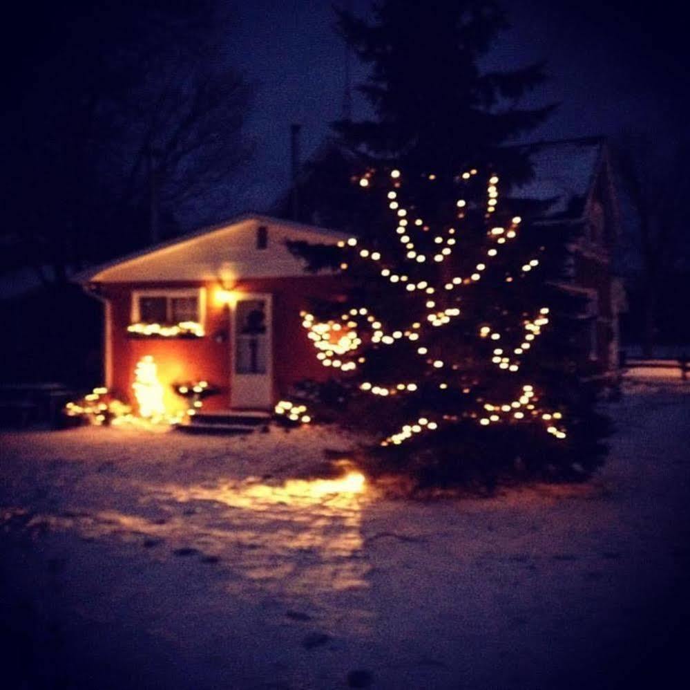 Emily'S Place B&B Creemore Экстерьер фото